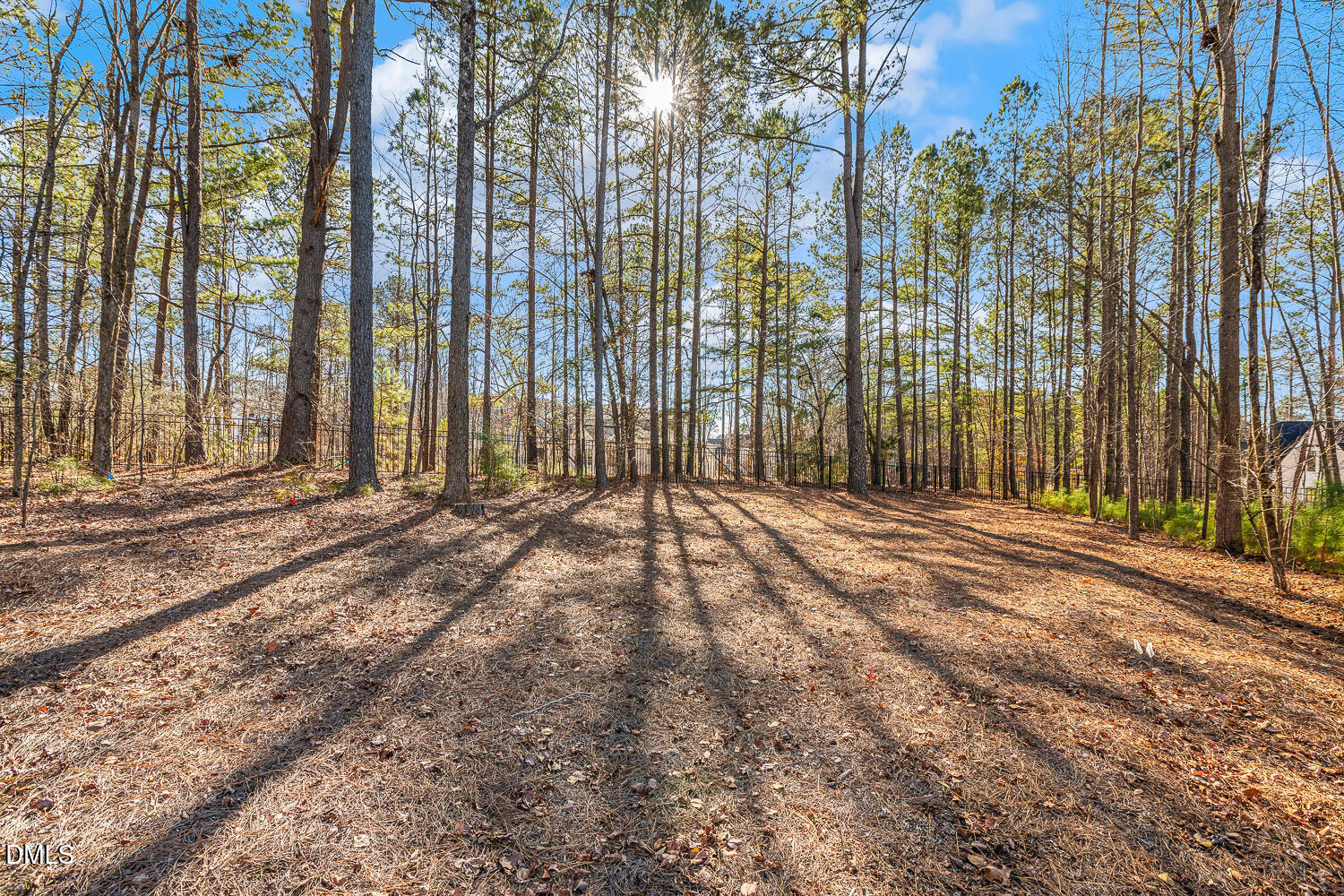 2321 Toll Mill Court Raleigh, NC 27606 - Photo 66 of 82 a view of backyard with large trees