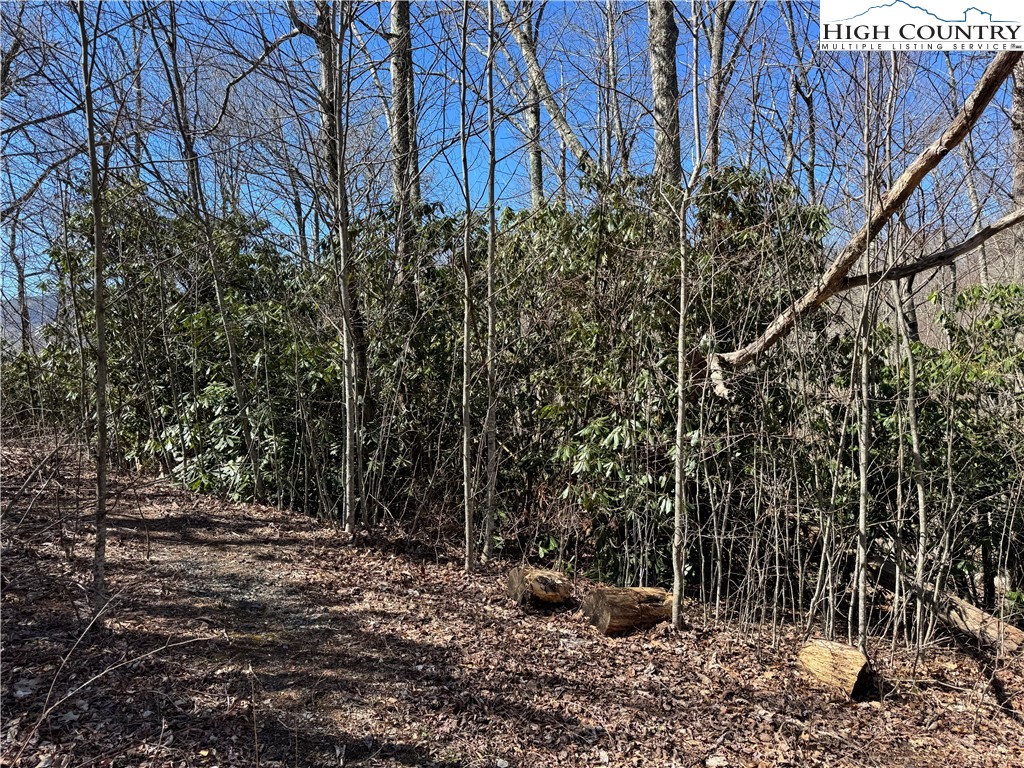 Tall Tree Lane, Unit 70 Banner Elk, NC 28604 - Photo 11 of 26 a view of outdoor space and yard