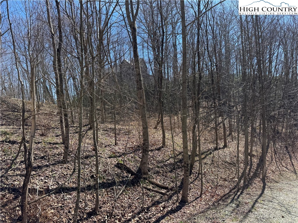 Tall Tree Lane, Unit 70 Banner Elk, NC 28604 - Photo 15 of 26 a view of a yard with lots of trees