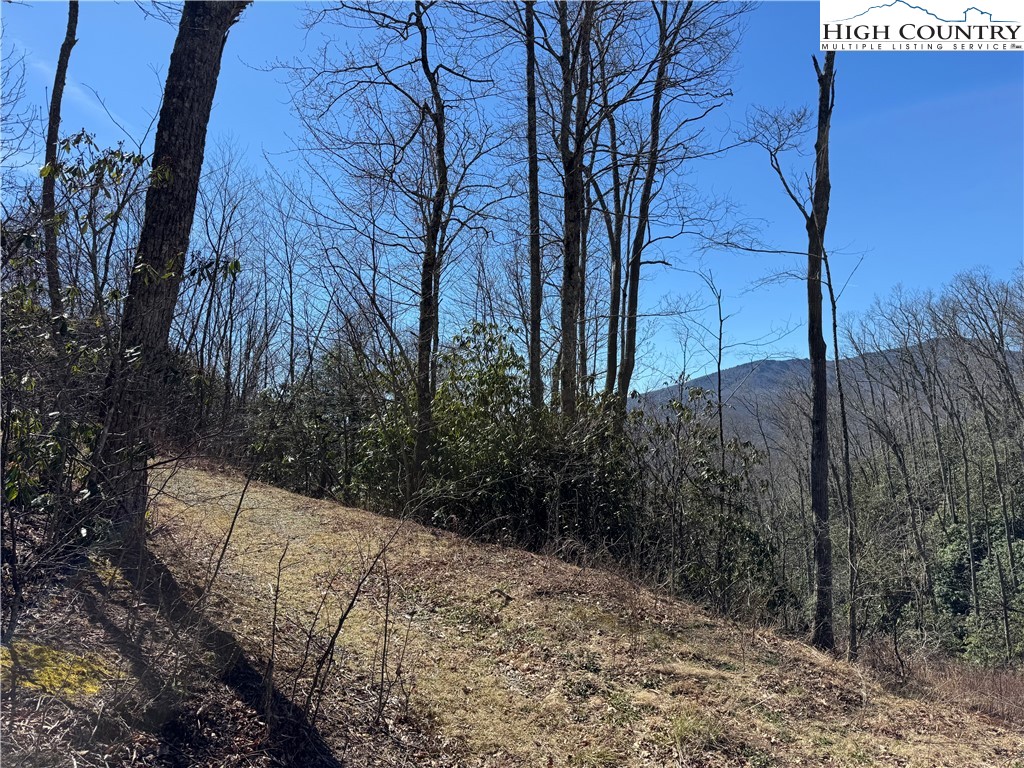 Tall Tree Lane, Unit 70 Banner Elk, NC 28604 - Photo 20 of 26 a view of a backyard of the house