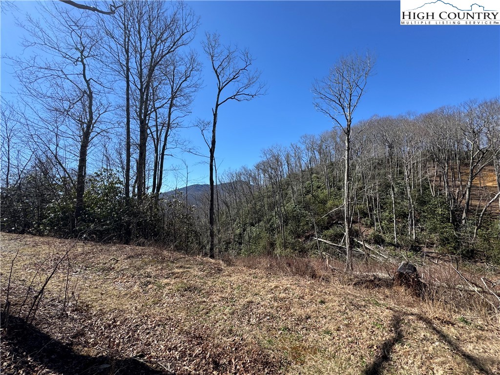 Tall Tree Lane, Unit 70 Banner Elk, NC 28604 - Photo 21 of 26 a view of backyard with green space
