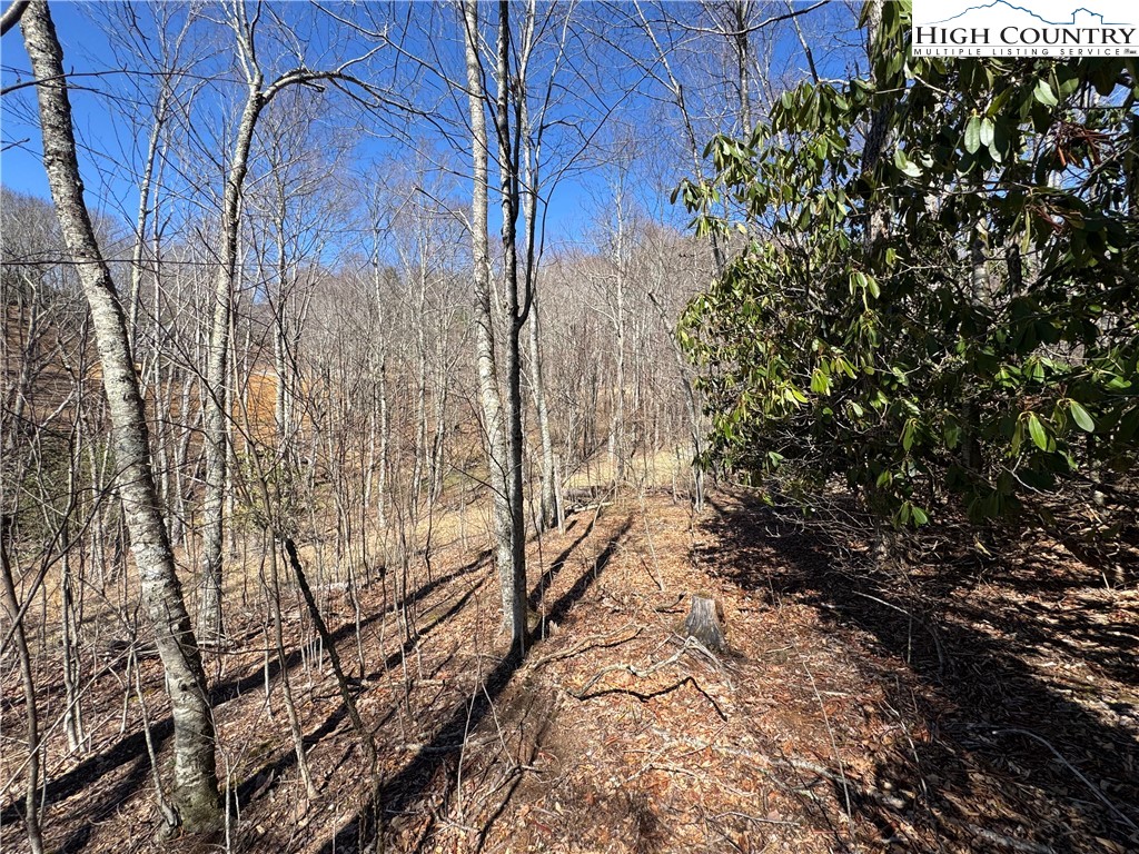 Tall Tree Lane, Unit 70 Banner Elk, NC 28604 - Photo 22 of 26 a view of a backyard of the house