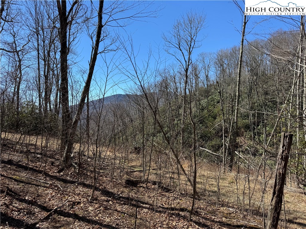 Tall Tree Lane, Unit 70 Banner Elk, NC 28604 - Photo 23 of 26 a view of a backyard of the house