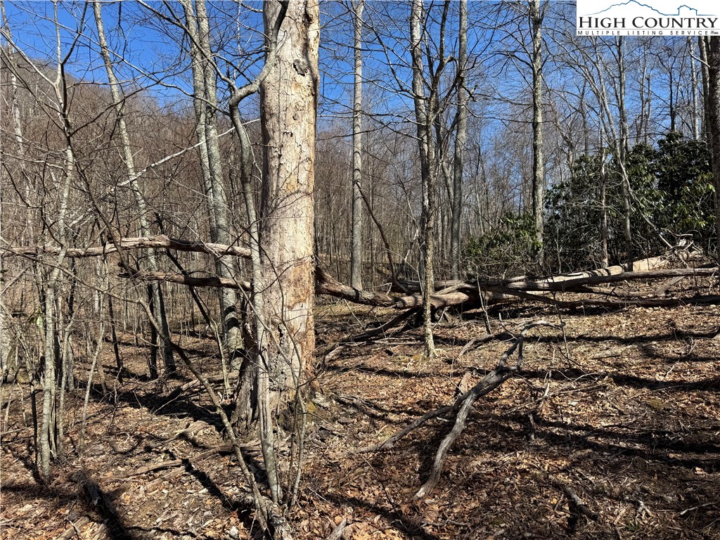 Tall Tree Lane, Unit 70 Banner Elk, NC 28604 - Photo 25 of 26 a view of yard
