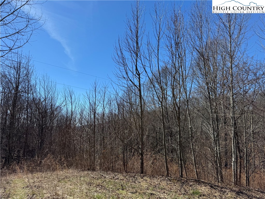 Tall Tree Lane, Unit 70 Banner Elk, NC 28604 - Photo 5 of 26 a view of a backyard