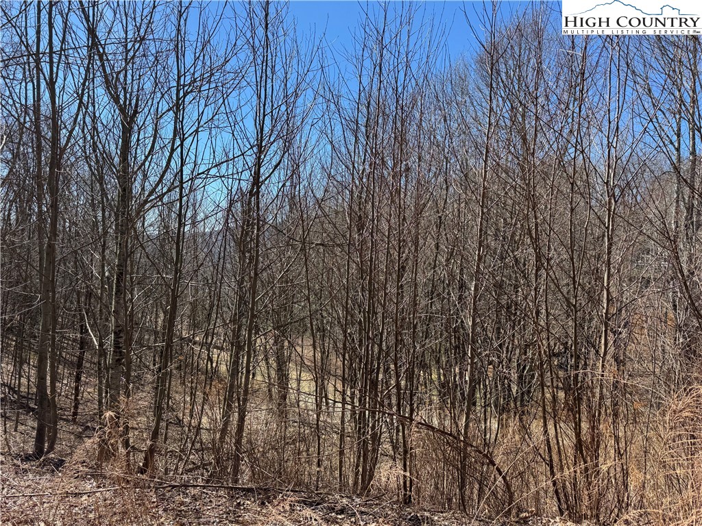 Tall Tree Lane, Unit 70 Banner Elk, NC 28604 - Photo 6 of 26 a view of trees with wooden fence