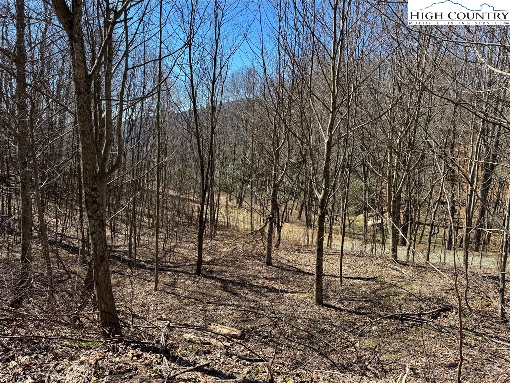 Tall Tree Lane, Unit 70 Banner Elk, NC 28604 - Photo 7 of 26 a view of a forest with trees in the background