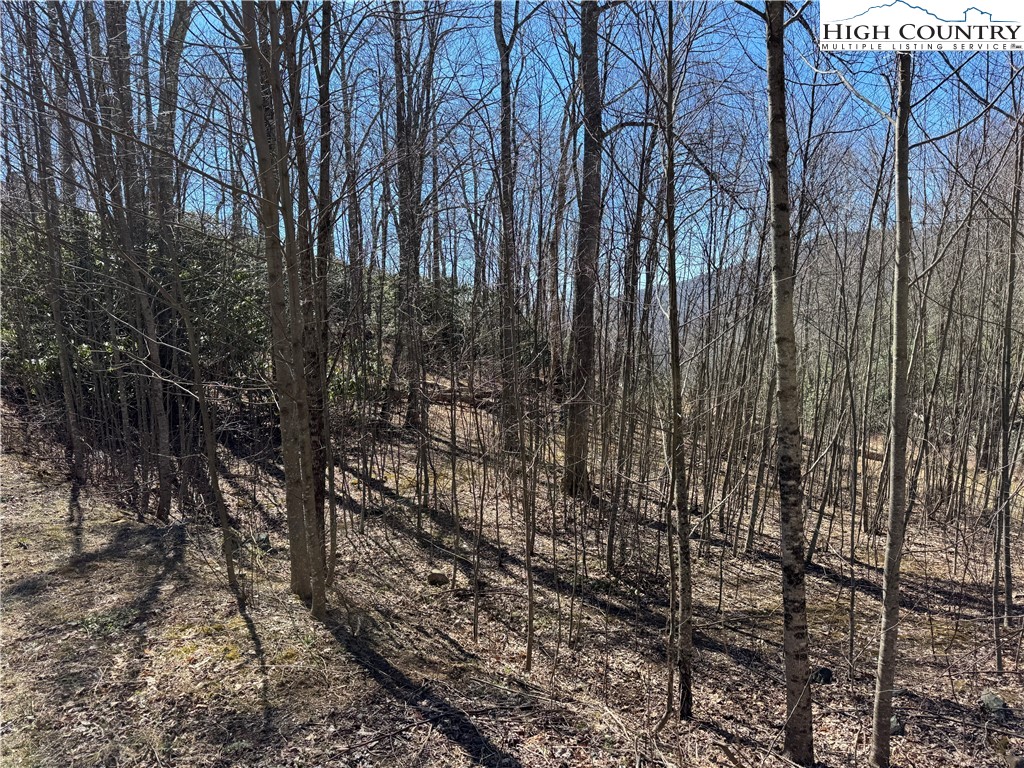 Tall Tree Lane, Unit 70 Banner Elk, NC 28604 - Photo 10 of 26 a view of a yard