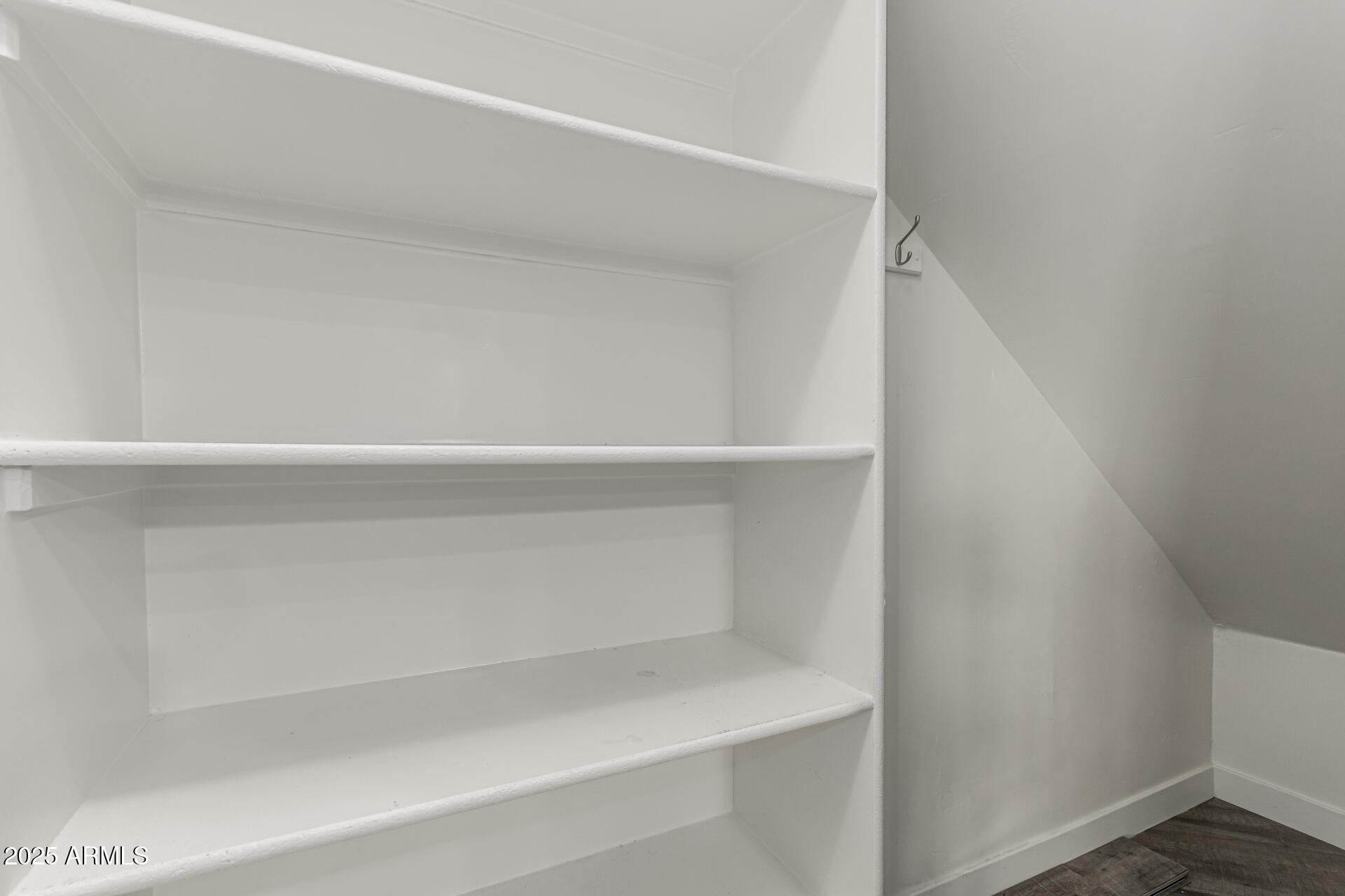 1056 North Miller Road Tempe, AZ 85288 - Photo 17 of 46 a close view of closet