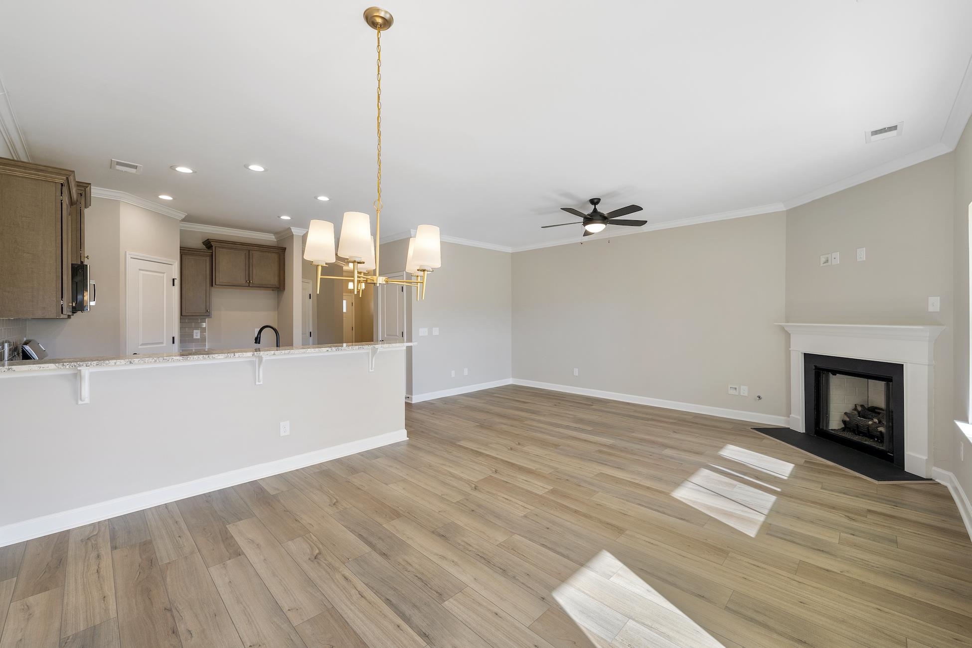 348 Nettle Lane Greenville, SC 29607 - Photo 9 of 38 Gallery Image 9