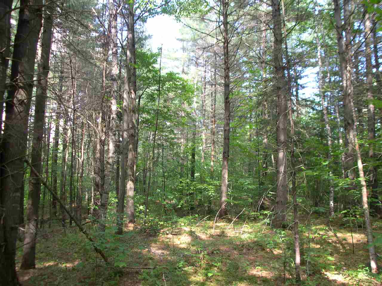 301 Hobart Hill Road Hebron, NH 03241 - Photo 3 of 21 Gallery Image 3