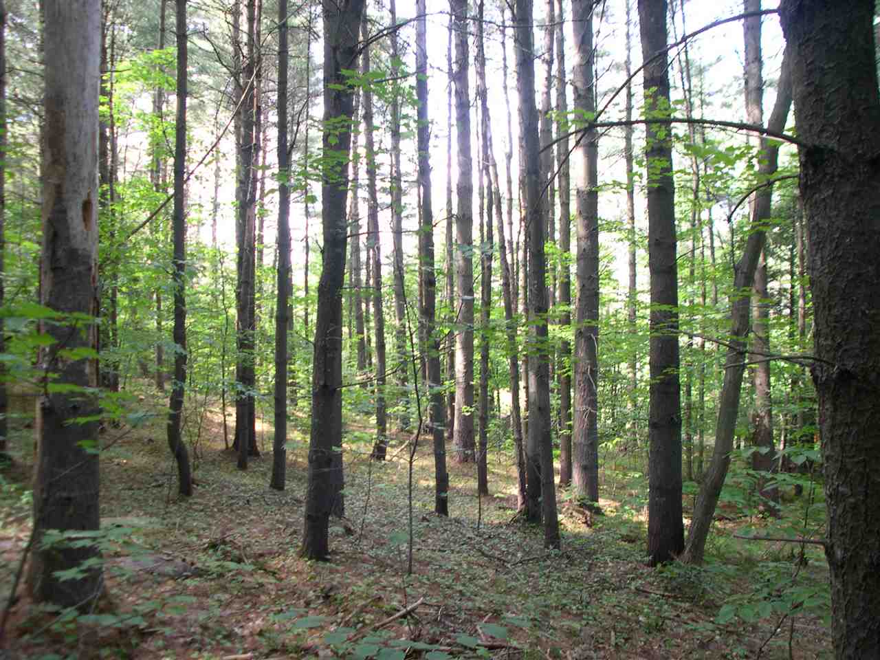 301 Hobart Hill Road Hebron, NH 03241 - Photo 4 of 21 Gallery Image 4