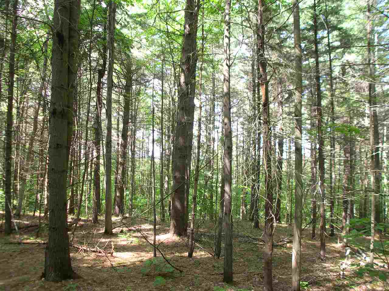 301 Hobart Hill Road Hebron, NH 03241 - Photo 5 of 21 Gallery Image 5