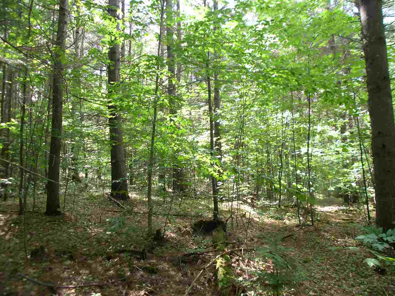 301 Hobart Hill Road Hebron, NH 03241 - Photo 6 of 21 Gallery Image 6