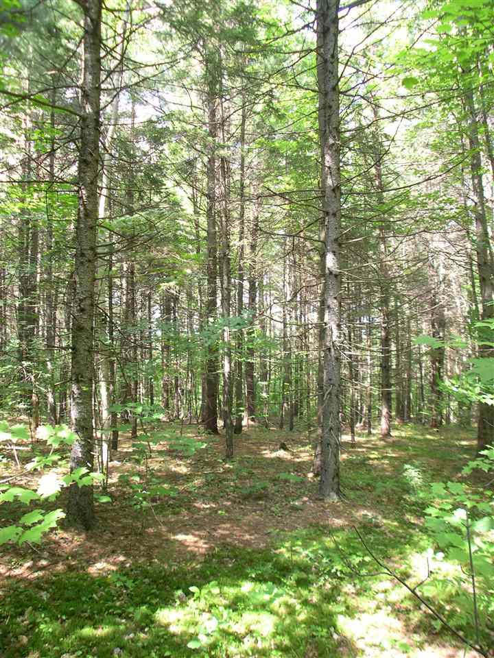 301 Hobart Hill Road Hebron, NH 03241 - Photo 7 of 21 Gallery Image 7