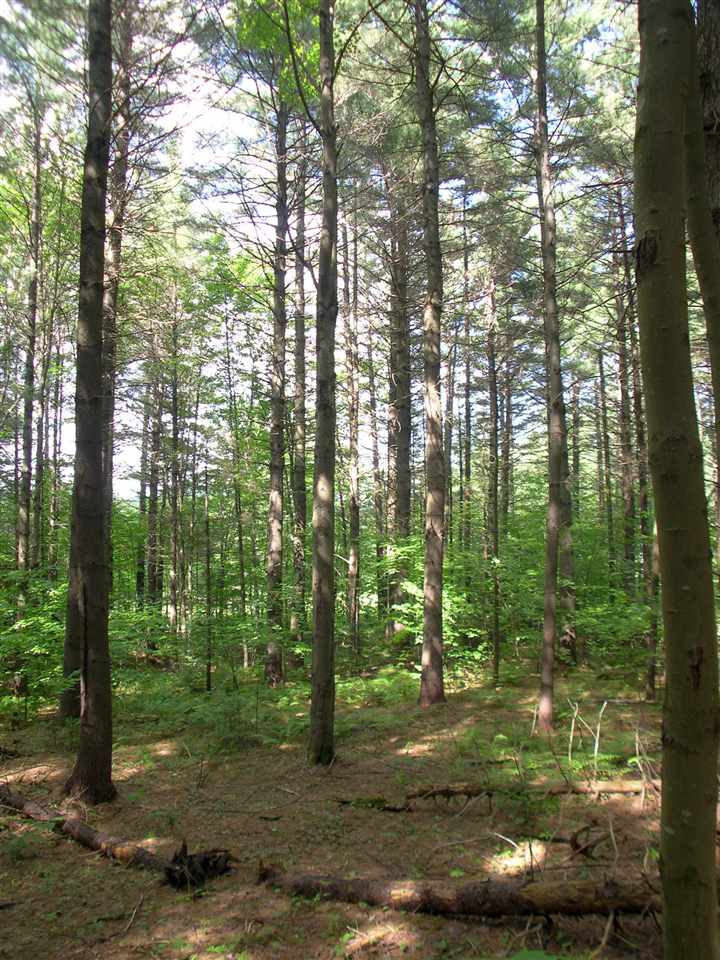 301 Hobart Hill Road Hebron, NH 03241 - Photo 8 of 21 Gallery Image 8