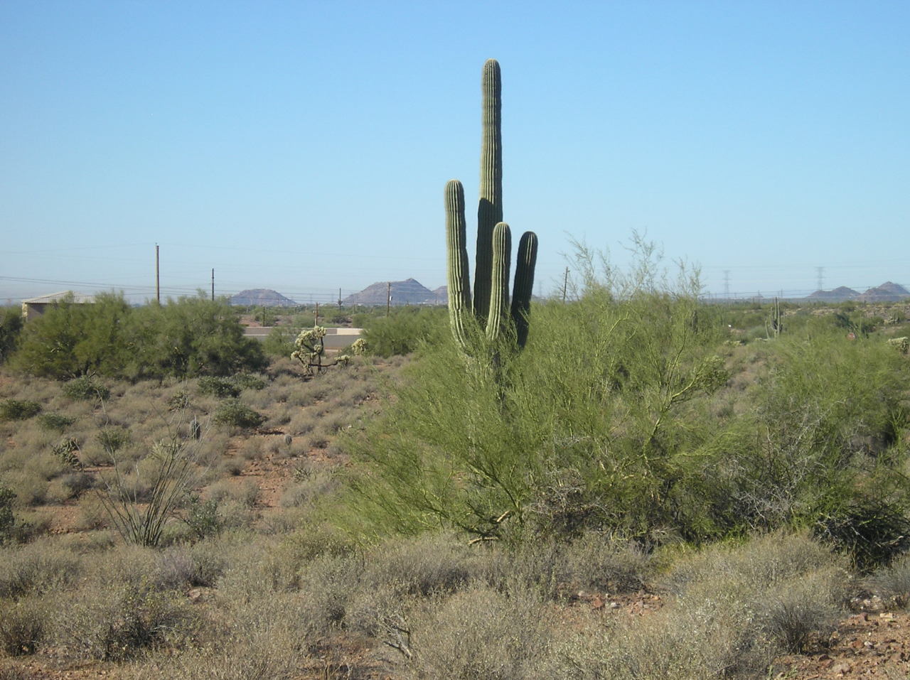 3250 North Mountain View Road, Unit 1 Apache Junction, AZ 85119 - Photo 5 of 13 Looking West