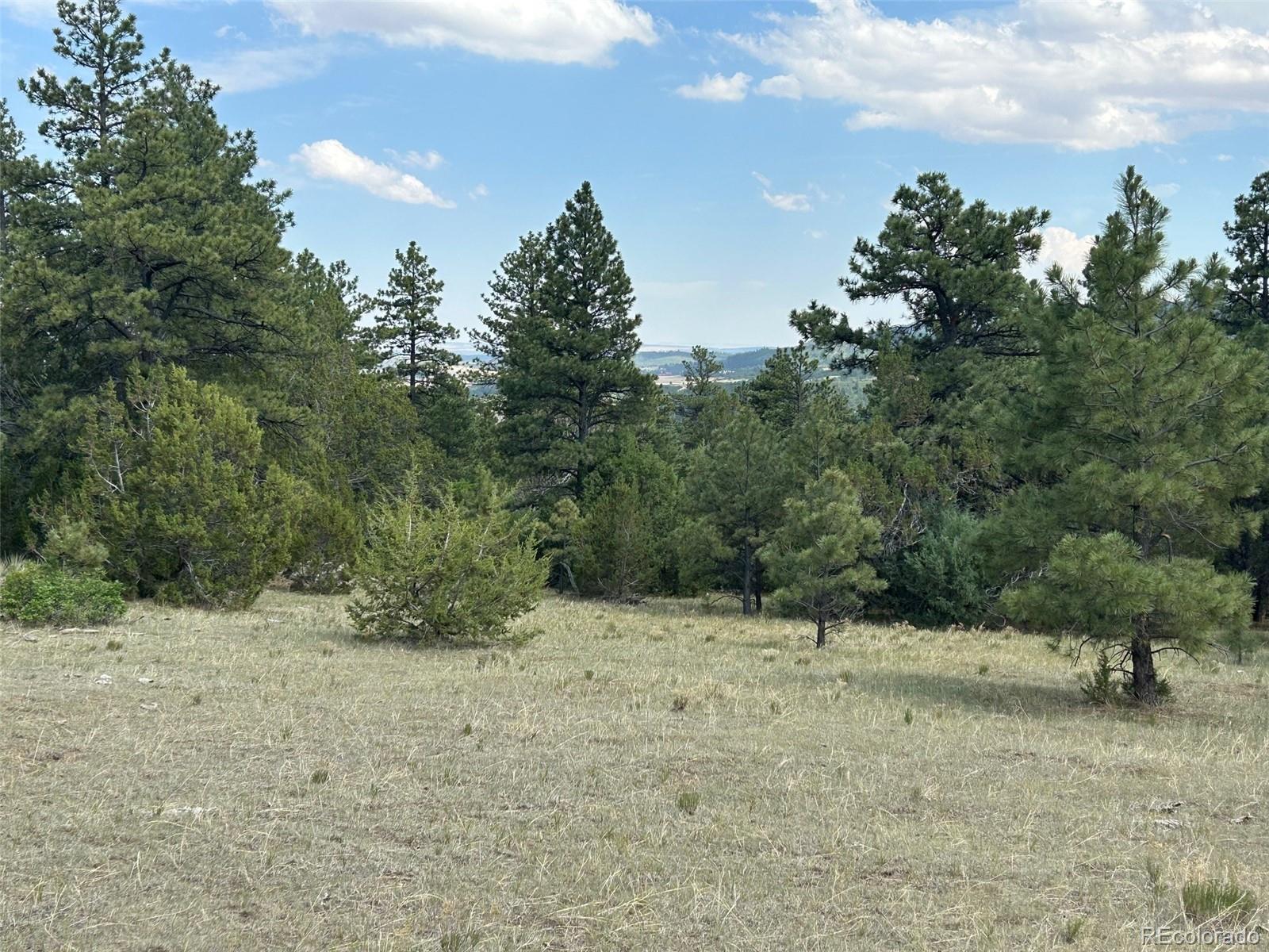 Lot 26 Tbd Signal Mountain Ranch Beulah, CO 81023 - Photo 12 of 15