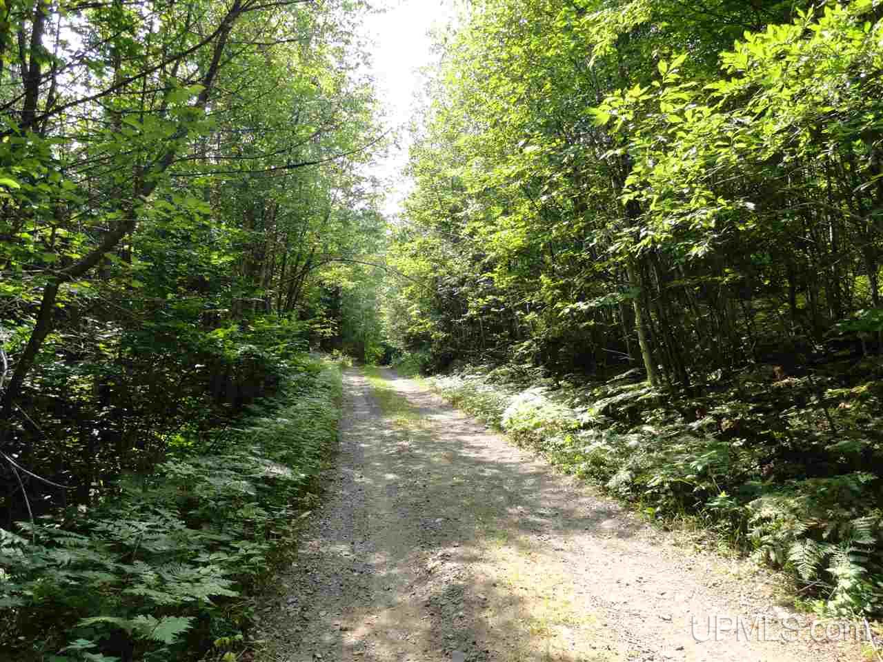 40-acres 40-acres Co Road Ishpeming, MI 49849 - Photo 28 of 36