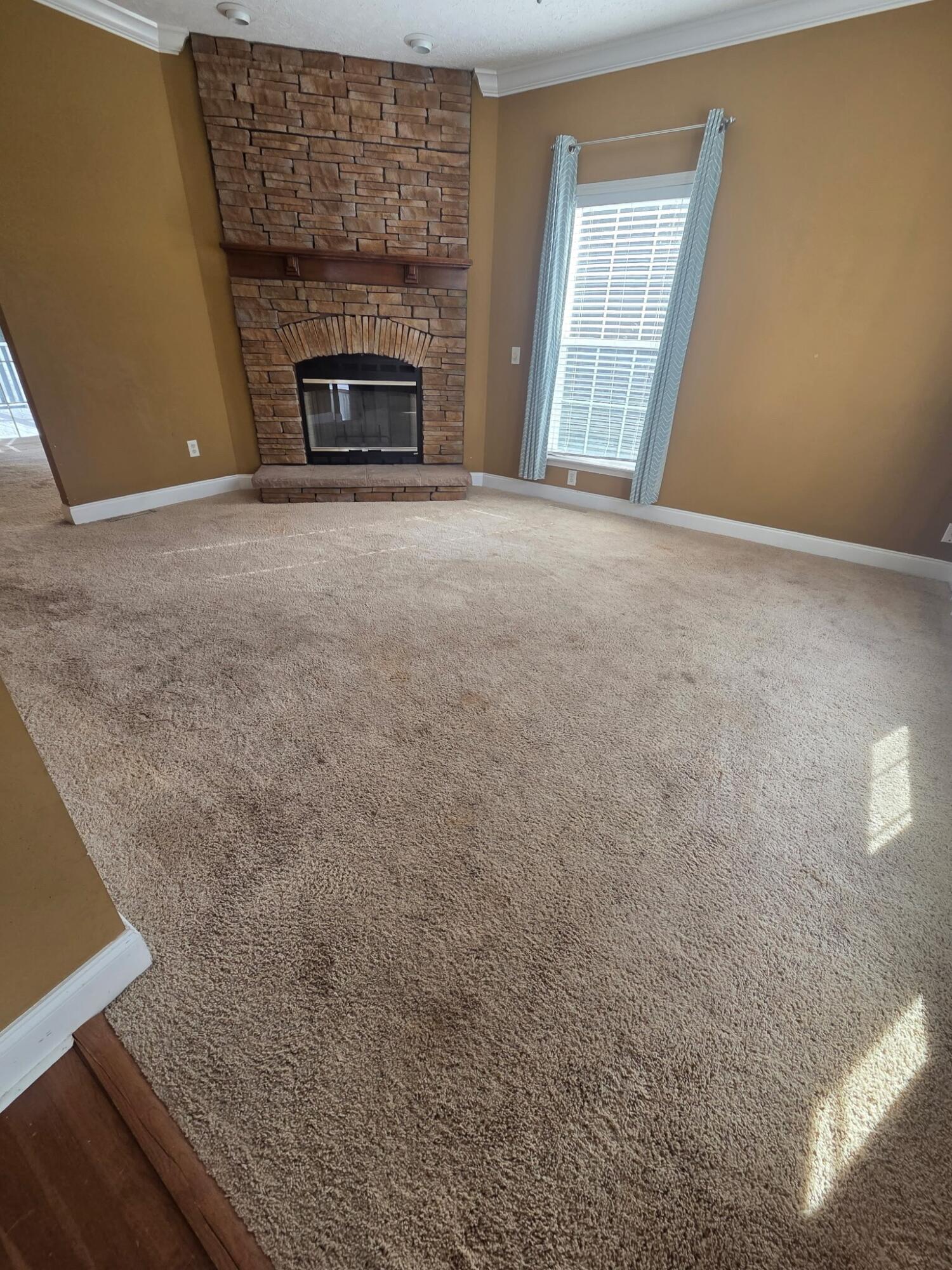 3014 Marlin Road Johns Island, SC 29455 - Photo 6 of 18 3014 Marlin fireplace