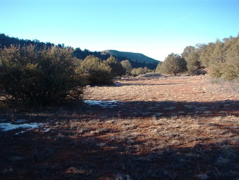 213 South Arizona Road Ash Fork, AZ 86320 - Photo 1 of 9 Primary Photo