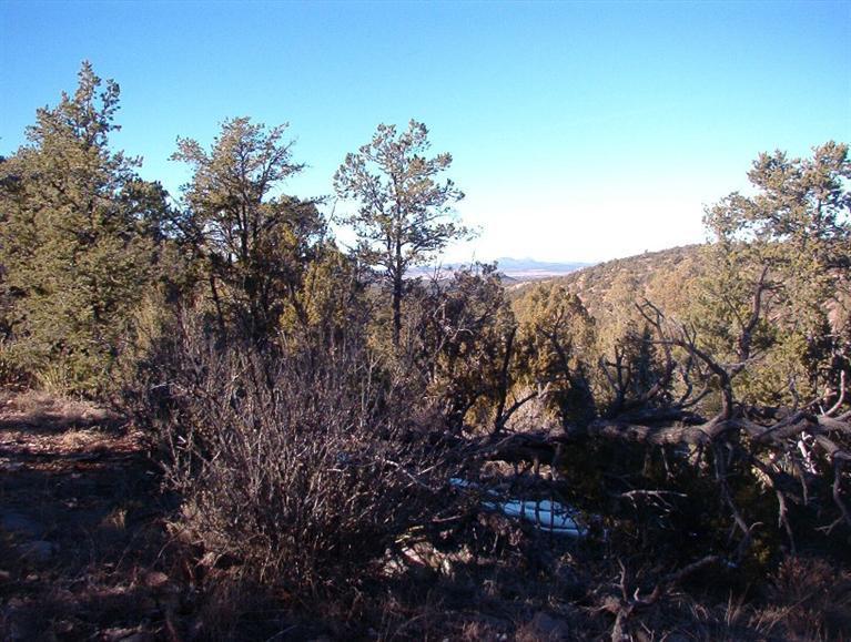 213 South Arizona Road Ash Fork, AZ 86320 - Photo 2 of 9 Additional Photo