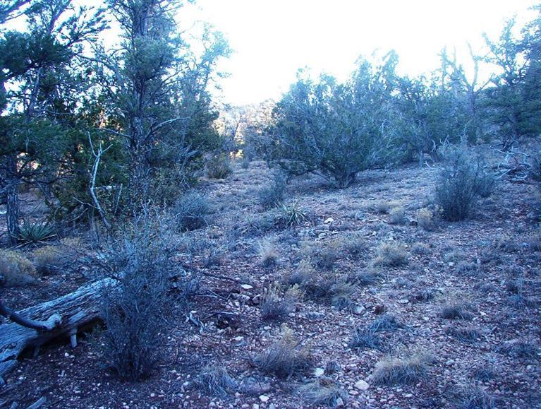 213 South Arizona Road Ash Fork, AZ 86320 - Photo 3 of 9 Additional Photo