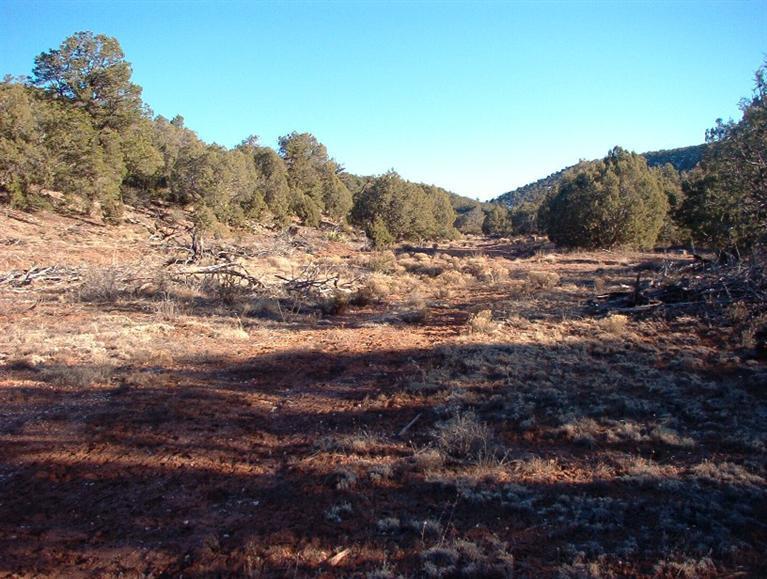 213 South Arizona Road Ash Fork, AZ 86320 - Photo 5 of 9 Additional Photo