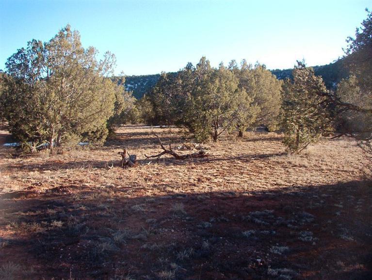 213 South Arizona Road Ash Fork, AZ 86320 - Photo 6 of 9 Additional Photo