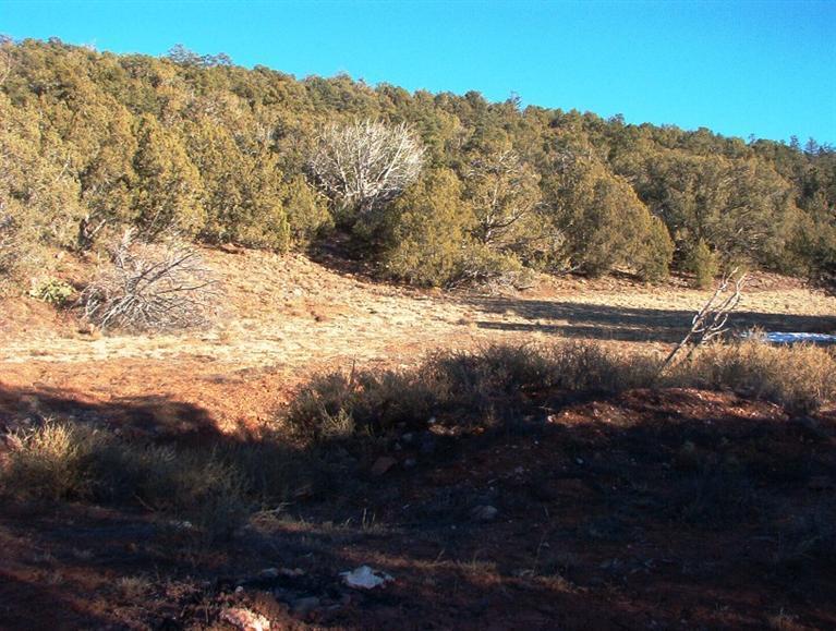213 South Arizona Road Ash Fork, AZ 86320 - Photo 7 of 9 Additional Photo