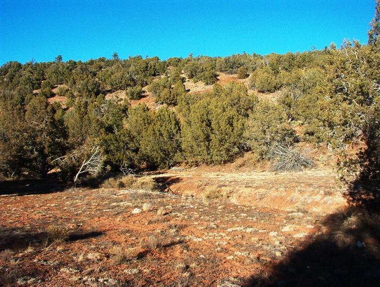 213 South Arizona Road Ash Fork, AZ 86320 - Photo 8 of 9 Additional Photo