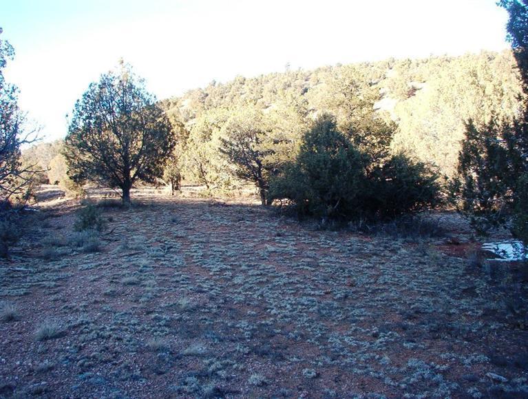 213 South Arizona Road Ash Fork, AZ 86320 - Photo 9 of 9 Additional Photo