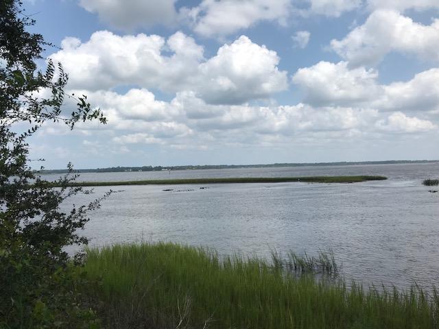 1124 Fairview Plantation Road Wadmalaw Island, SC 29487 - Photo 2 of 9 IMG_2865