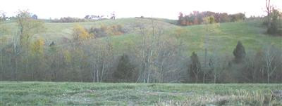 1100 East Union Road Carlisle, KY 40311 - Photo 7 of 13 Photo 7