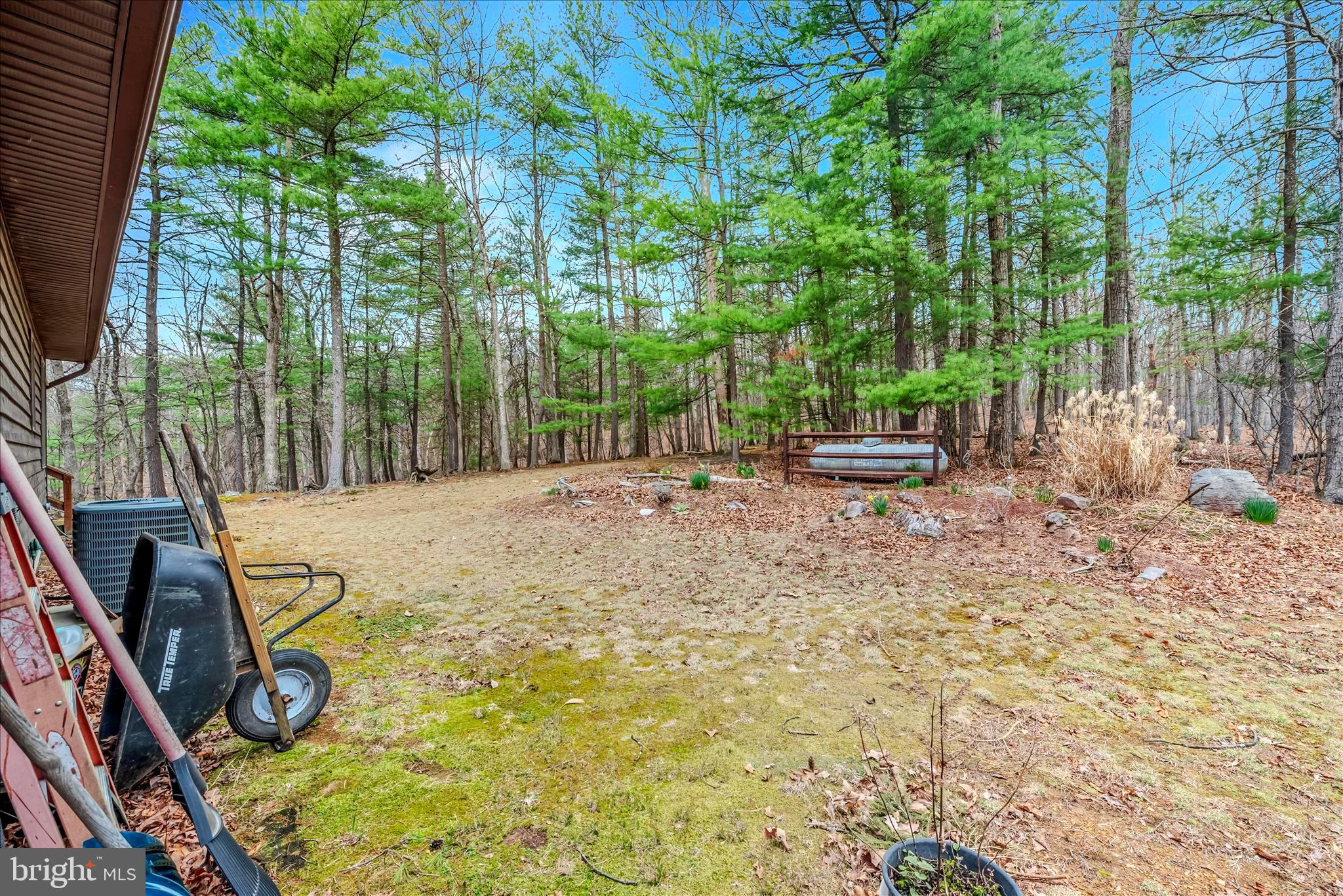 291 Dry Run Lane Berkeley Springs, WV 25411 - Photo 33 of 47 Backyard