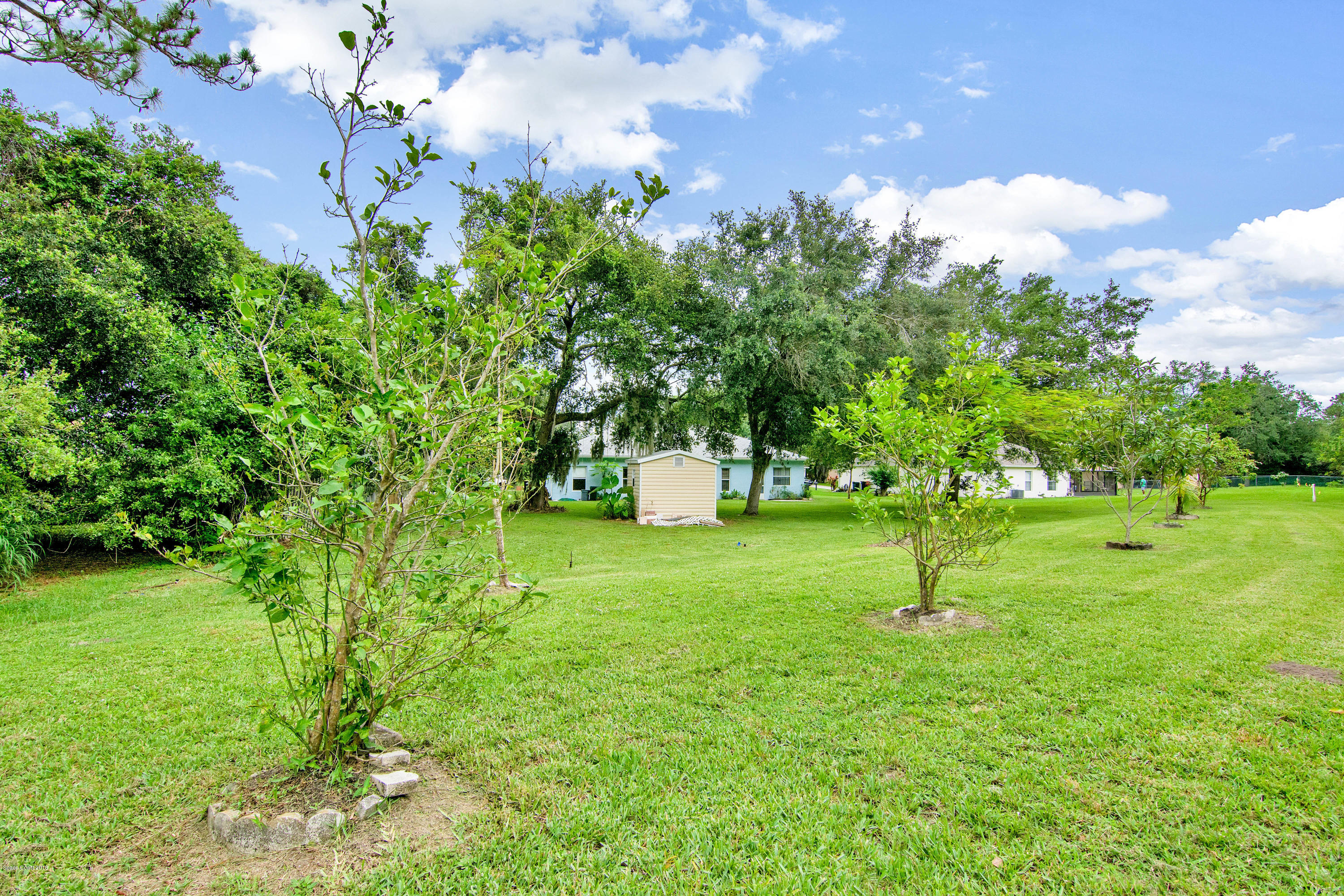1030 Meadowbrook Road Northeast Palm Bay, FL 32905 - Photo 20 of 24 a backyard of a house with lots of green space