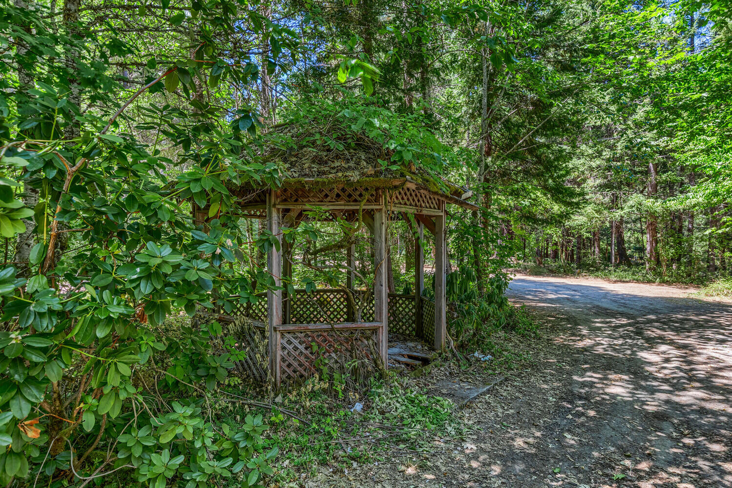 2475 Cedar Flat Road Williams, OR 97544 - Photo 51 of 61 39_CFR_40_mls
