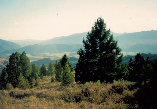 Tbd Tbd Pointman Road Darby, MT 59829 - Photo 1 of 1 Gallery Image 1