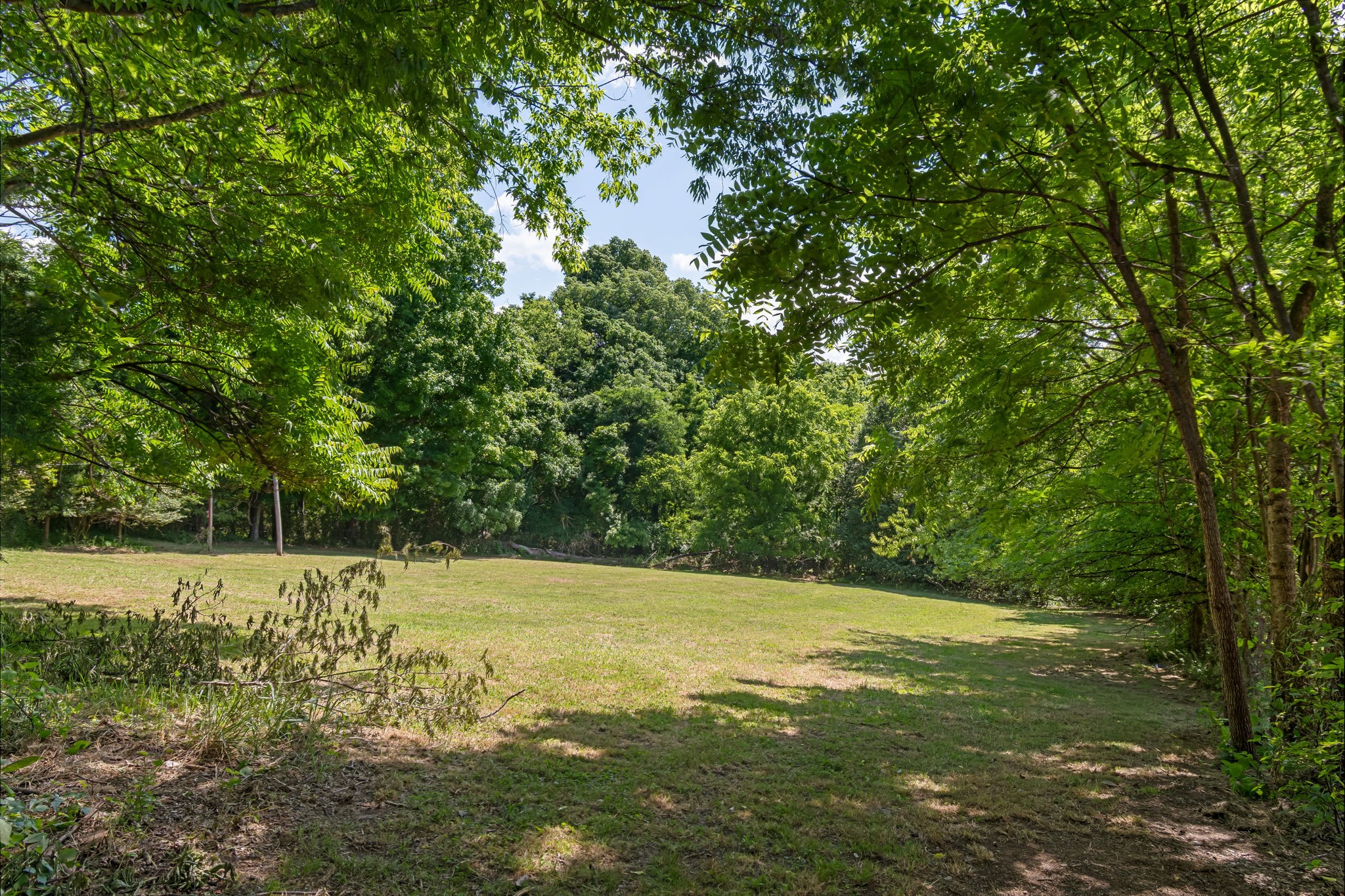 1979 Buck Daniels Road Culleoka, TN 38451 - Photo 57 of 61 a view of an outdoor space and a yard
