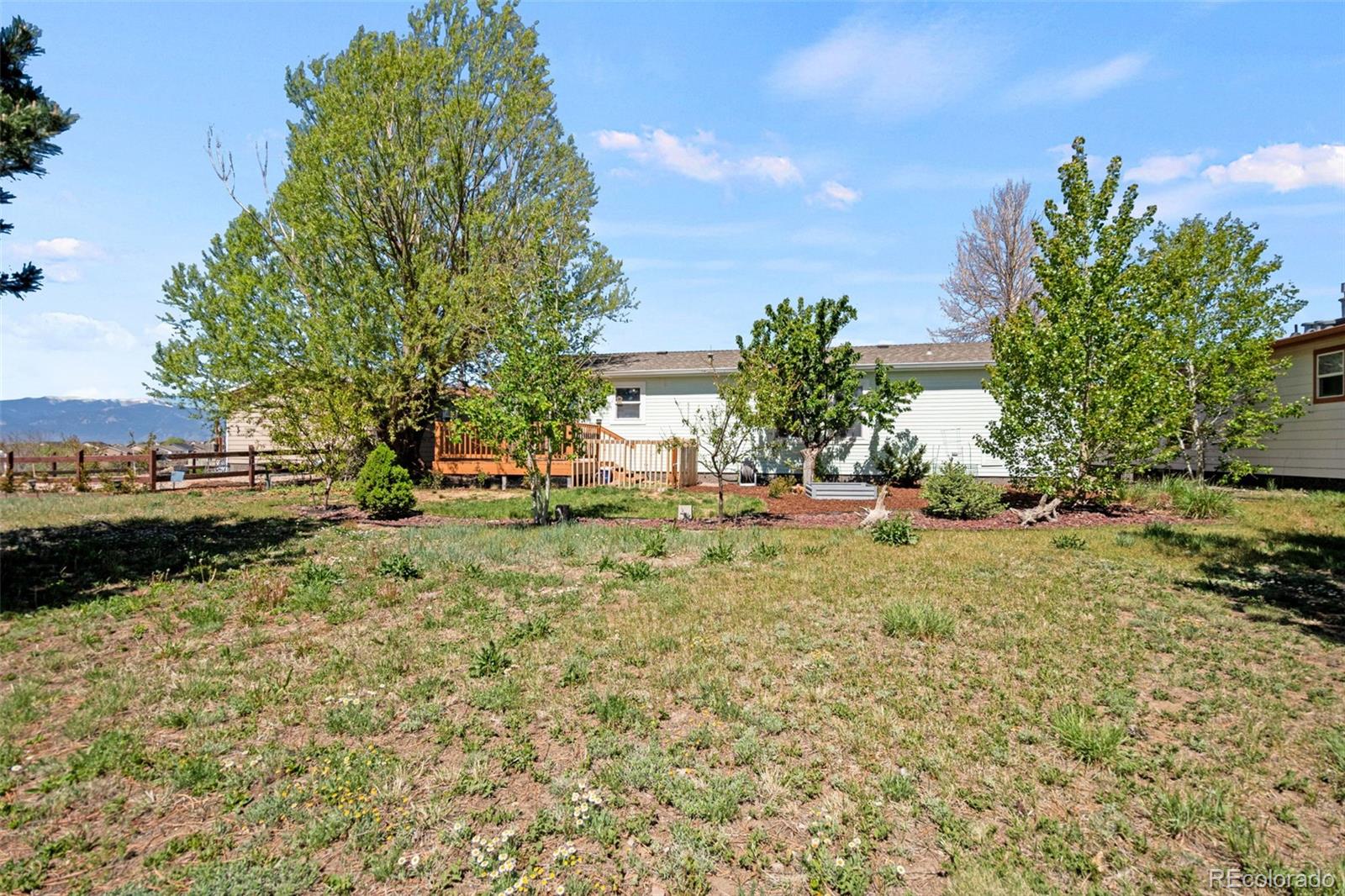 7641 Marmot Point Colorado Springs, CO 80922 - Photo 29 of 36
