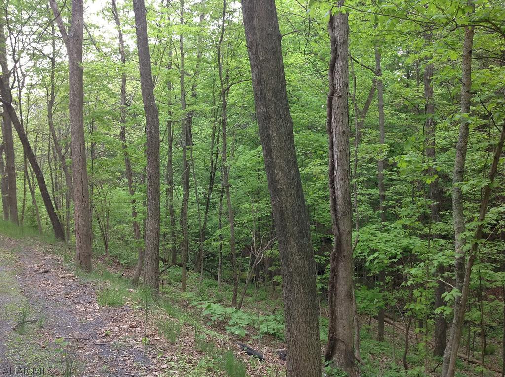 - Reynoldsdale Road New Paris, PA 15554 - Photo 3 of 4