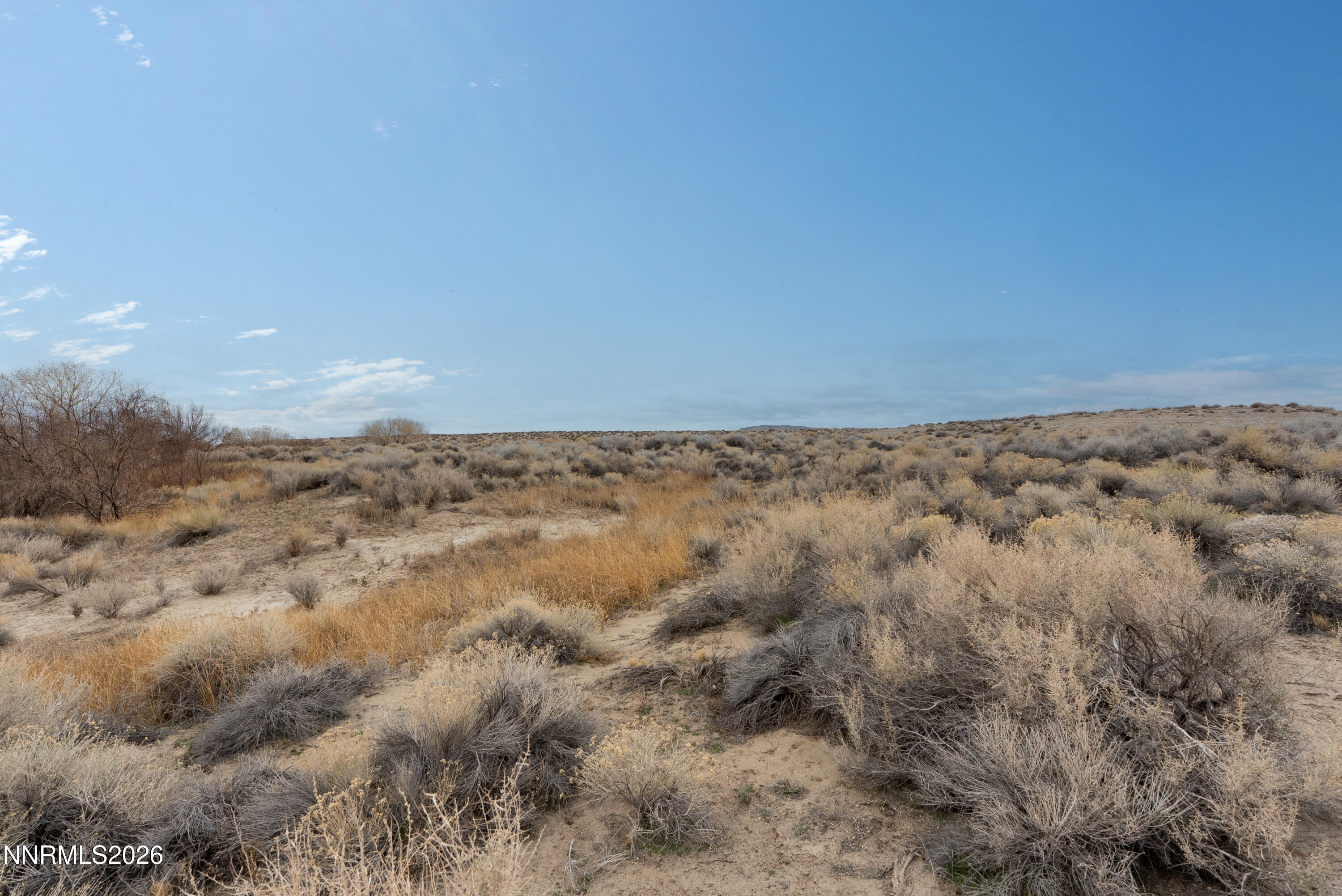 17001 Lahontan Dam Road Fallon, NV 89406 - Photo 21 of 38 a view of a dry field with trees in the background