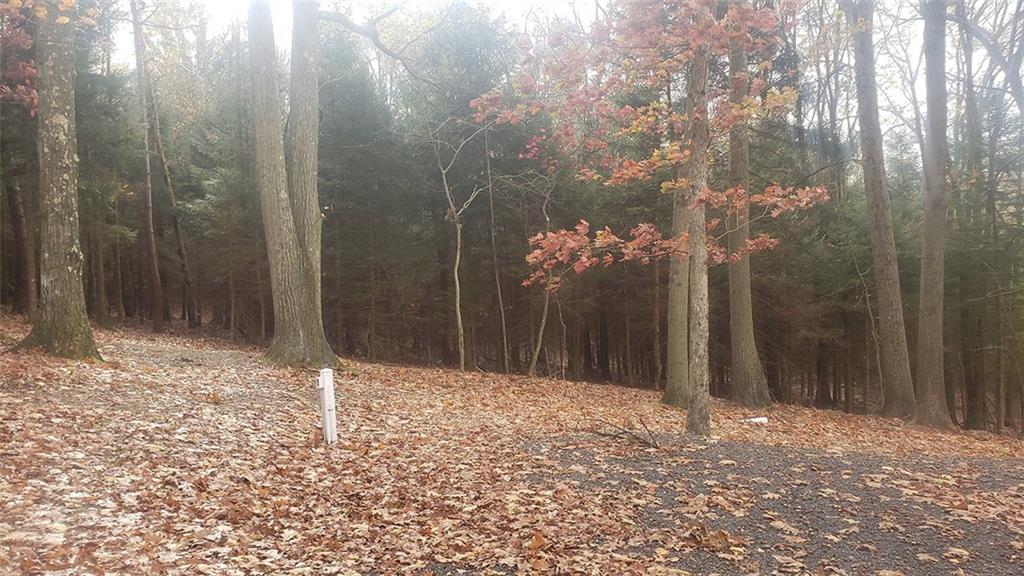 4409 West Pike Road Indiana, PA 15701 - Photo 11 of 16 RV Site