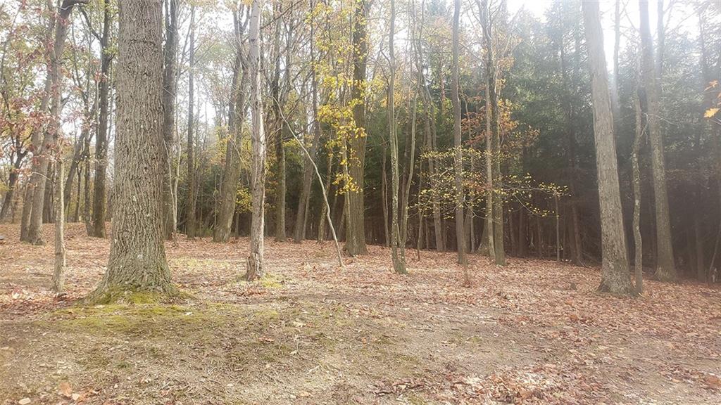 4409 West Pike Road Indiana, PA 15701 - Photo 14 of 16 Property