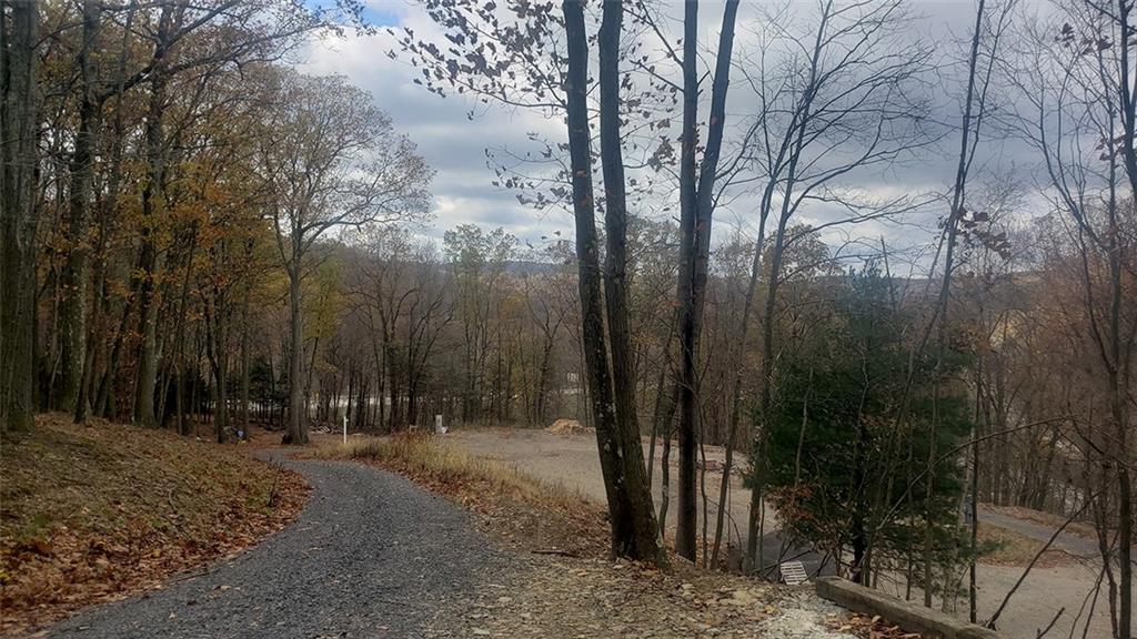 4409 West Pike Road Indiana, PA 15701 - Photo 3 of 16 Driveway