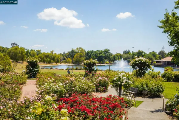 a view of a lake with a flower garden