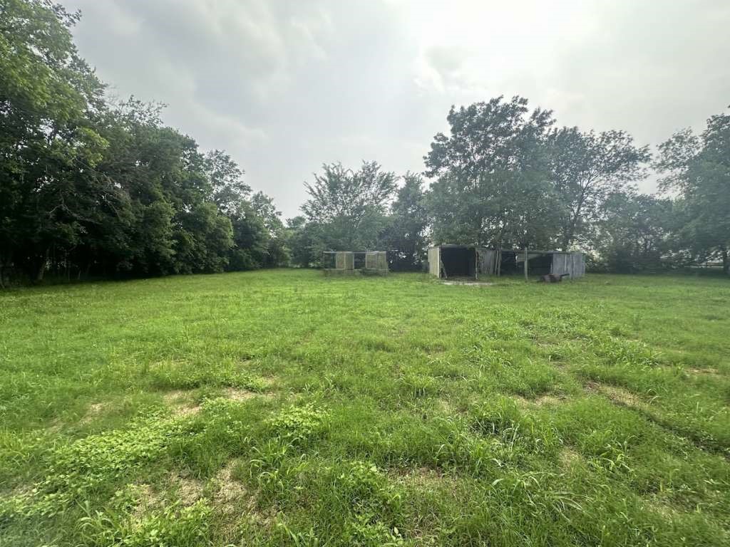 602 East Navasota Street Groesbeck, TX 76642 - Photo 11 of 13 a view of a green field with trees in the background