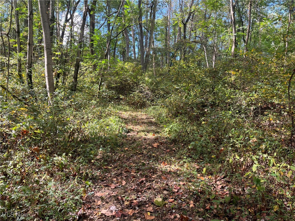 71330 Old Twenty One Road Kimbolton, OH 43749 - Photo 35 of 49