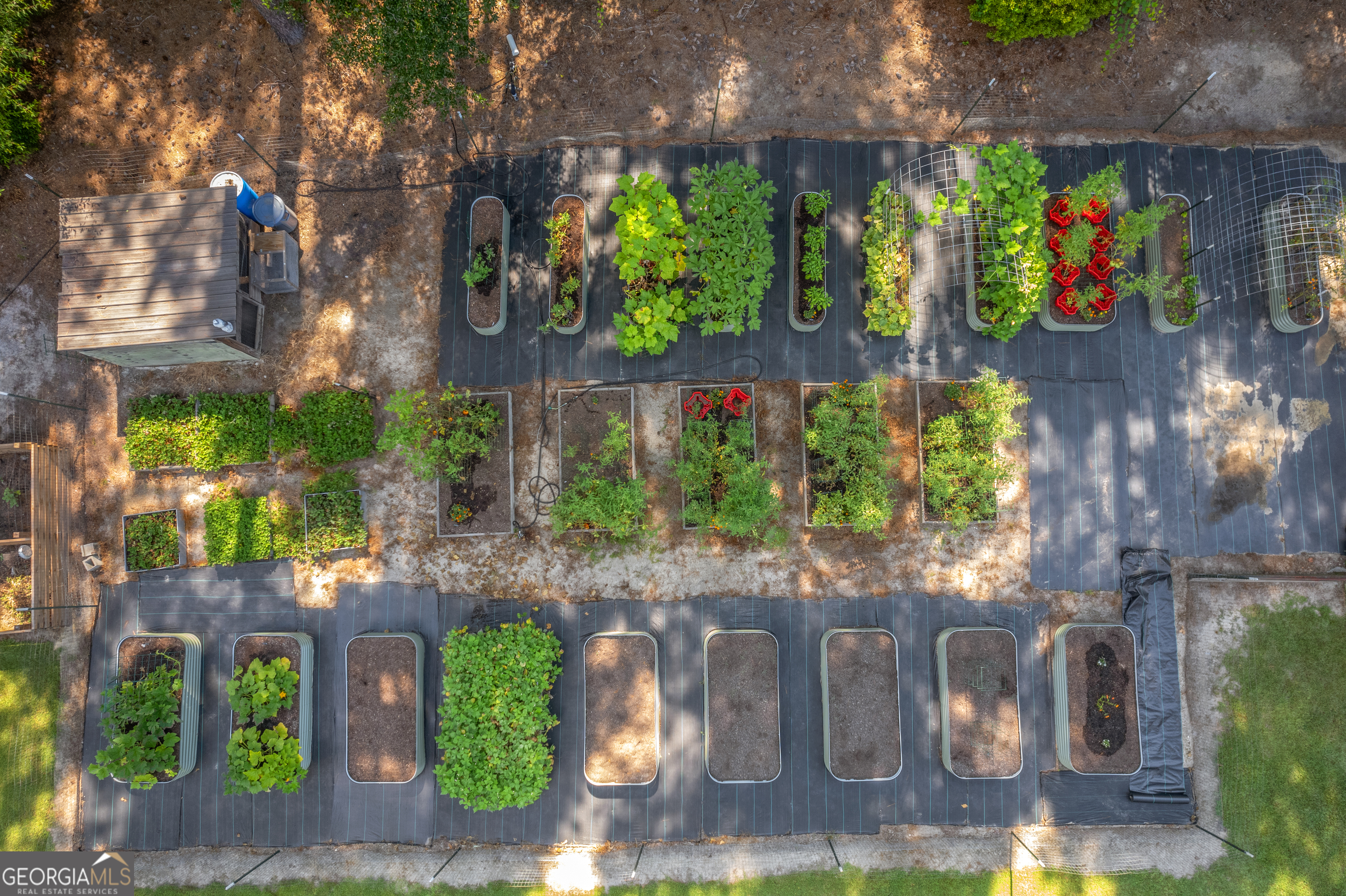 1269 Tarver Road Davisboro, GA 31018 - Photo 15 of 64 Raised, fenced garden