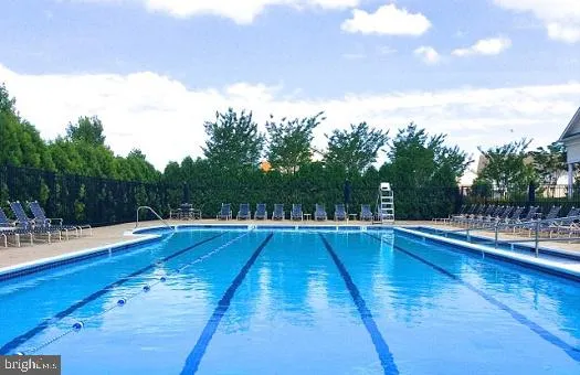 a view of a park with large trees